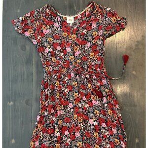 Beautiful flowy button down dress with cinch waist